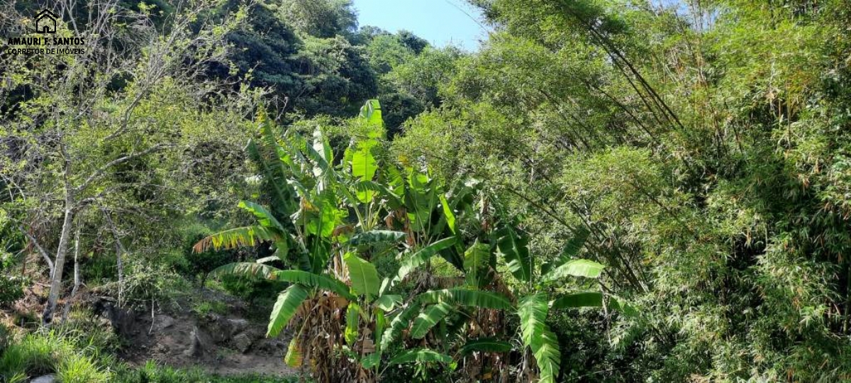 Sítio em , São Roque - Foto 8